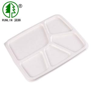 Quality Disposable Paper Biodegradable Food Trays Bagasse 5 Compartments For School Lunch wholesale