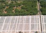 Transparent Non Woven Landscape Fabric