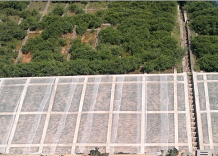 Spunbond Nonwoven Garden Weed Control Fabric GSM Warter Permeable