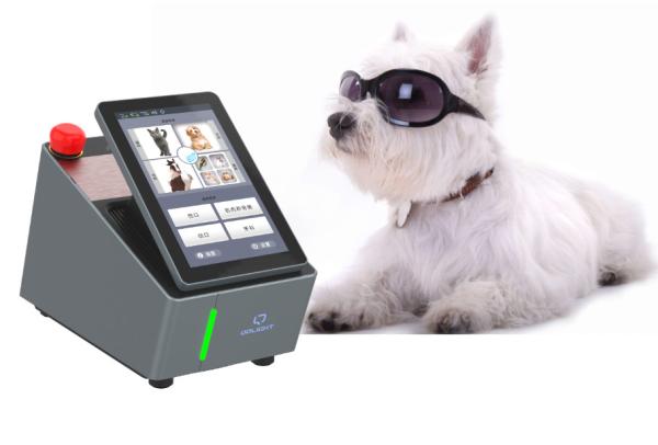 Class IV Quad Wavelength Pet Veterinary Laser Therapy Machine