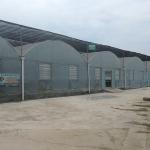 Hot Galvanized Structure Agriculture Polytunnel Greenhouse Wind Resistant Multi