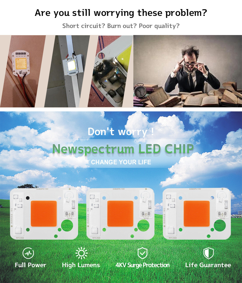 3000lm COB LED Module COB Chip 50Watt 6000K For Commercial Lighting Solutions