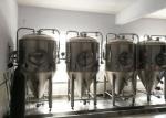 Stainless Steel Conical Copper Commercial Beer Brewing Equipment 50L 100L Mash