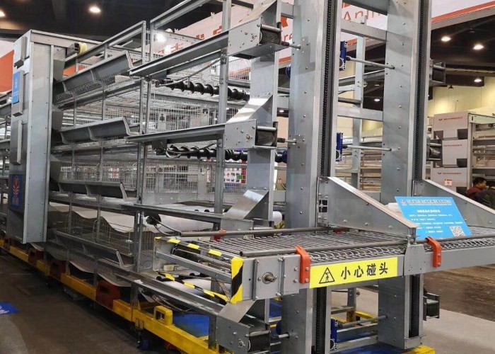 Hot-dip galvanizing technology Reliable Layer Poultry Farming Equipment / Egg Laying Chicken Cages