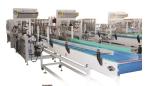 Hand Held Thermal Shrink Wrap Packaging Equipment / Plant For Boxes From China