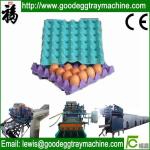 Egg tray plant(FC-ZMG6-48)