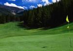 Green Artificial Turf Grass , Artificial Golf Turf Sports Lawn Long Lifetime