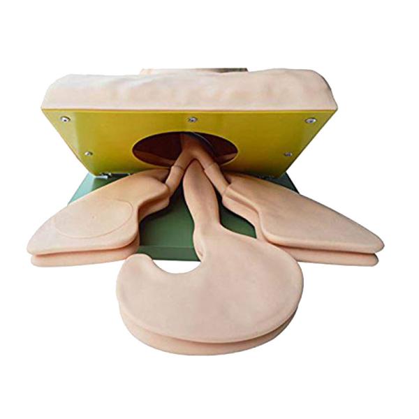Cheap Human Tracheal Intubation Model Nasal Intubation Airway Training Simulator Model for sale