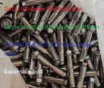 wedge anchor/through bolt/ flat head bolt /hex bolt/ tam/ expansion bolt,