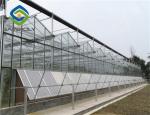 Transparent Hydroponic 0.3KN/M2 Multi Span Greenhouse