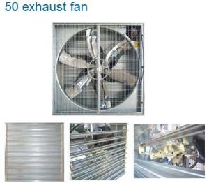 Quality chicken house ventilation fan wholesale