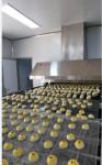 304 Stainless Steel Industrial Full Set Egg Yolk Pie Making Machine With Oven