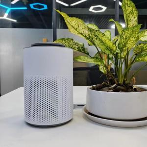 Quality Desktop Electric Plasma Pure Air Purifier Portable Plasma Sterilizer With Child Lock wholesale