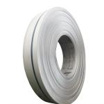 Self Adhesive Stainless Steel Coil Strip 20mm ASTM 201 304 316 316L 410 430 309s
