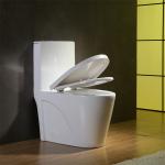 Elongated Dual Flush One Piece Toilet Water Saving Patented Technology