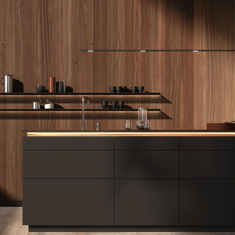 Modular Kitchen Cabinets Customized with Matte Finish and Quartz Stone Countertops