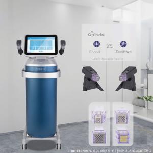 Quality 300W Skin Care Machine Standing Fractional RF Microneedle Machine 4MHz wholesale