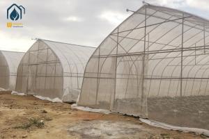Quality Commercial Large Agricultural Greenhouse UV Film Vegetable Hydroponic Greenhouse wholesale