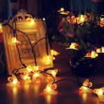 7M 24Ft 8 Mode Waterproof Indoor Fairy Lights For Flower Fence Lawn Patio
