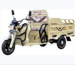 265kg Tricycle For Adults Motorized