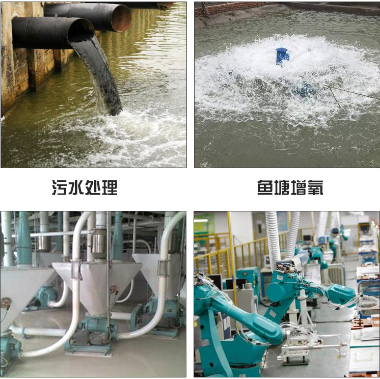 ABB Motor Type Three Leaf Roots Blower for Fish Ponds Supply 0.75-400kw High Standar