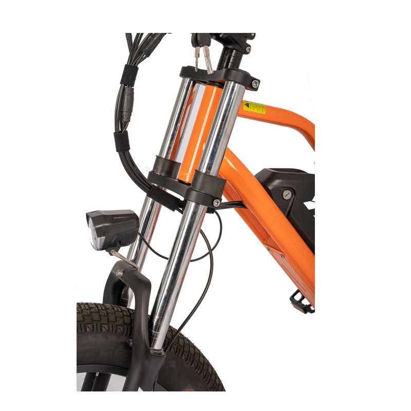 48V Electric Bike with 13Ah Battery 750W 1000W Motor 7 Speed 20" Tire and 180KG Load