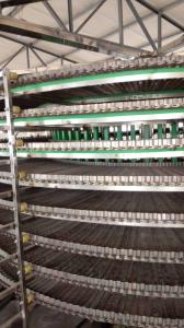 Quality Spiral Cooler/ Bread Hamburger Toast Spiral Cooling Tower/Bread Machinery wholesale