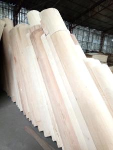 Quality Full Birch Roatry Die making Plywood 18mm diameter170-676mm 1800-2600mm wholesale