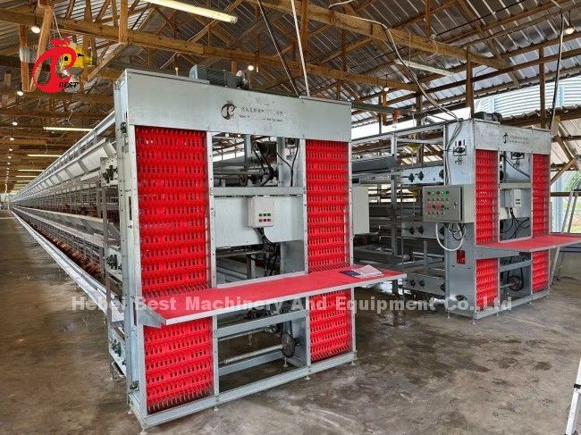 Modular Poultry Cage System For Layer Farms Hot Dip Galvanized Battery Cage Capacity 96-200 Birds Sandy