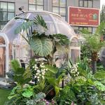 Diameter 3m Outdoor Bubble Tents PC Transparent Bubble Tent With LED