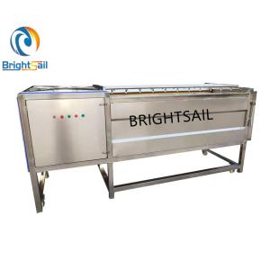 Quality Industrial Factory Ginger Washing Machine in Washing Machines from Brightsail wholesale