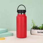 21oz Double Stainless Steel Fitness Water Bottle Handle Customizable Logo