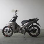 6.5KW Front Disc Brake TR135-NG Cub Motorcycle