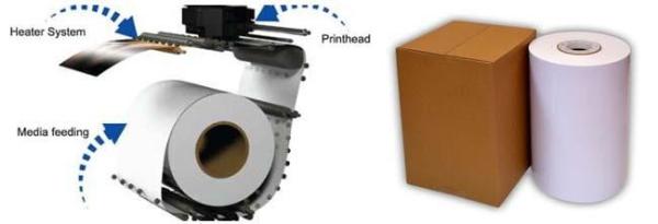 Durable 235gsm Minilab Photo Paper For Dry Lab Printer Instant Dry Surface