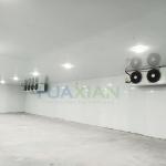 Small Size Bulgaria Movable Complete Cold Storage Room/Freezer/Chiller for Meat
