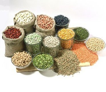 500g/Batch 3kg/H Manual Hydraulic Oil Press Machine Small Jack Type 70kg