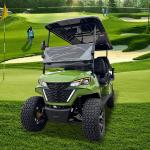 Street Legal 48V Electric Manual Big Wheel Golf Cart 6 Seats Forward Facing