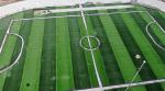 Dtex Stem Shape Artificial Football Turf For Disease Resistance