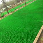 Grass Paver Mat Plastic Grass Grid Lawn Gravel Paving Grid Driveway Gridding for