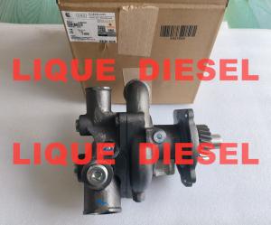 Quality Cummins Water Pump 4299030 4299030X P4299030 wholesale