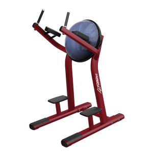 Quality Custom Dip Chin Heavy Duty Gym Equipment , Leg Raise Machine With Bosu Ball wholesale