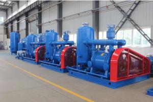 Quality Blue One Stage Vacuum Pump Units Low Noise Carbon Steel Material wholesale