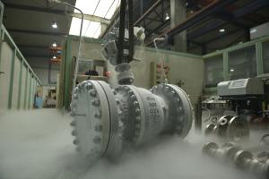 Quality API6D Standard Cryogenic Valve wholesale