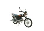 CG 50cc 70cc 90cc 110cc 125cc Gas Powered Motorbike , Gas Street Bike 60km/h