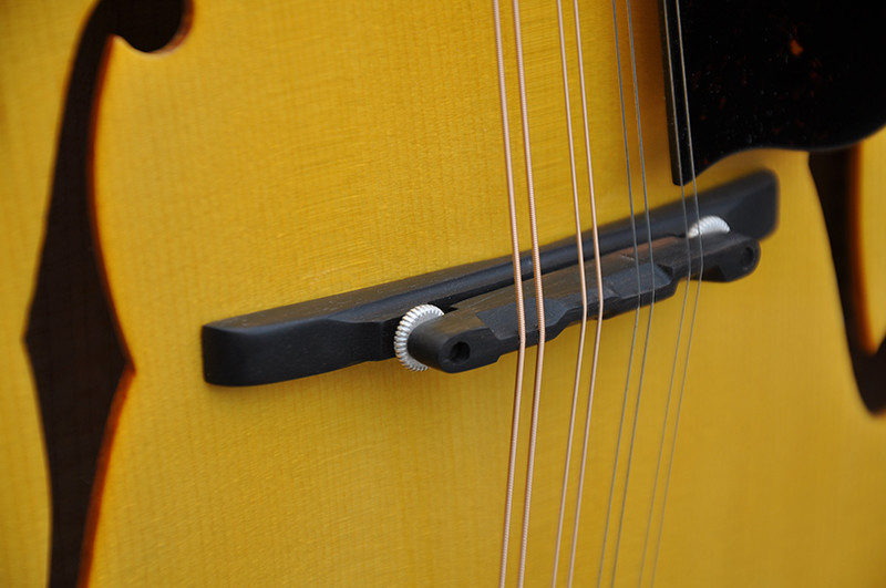 Factory custom Handmade custom advanced 8 strings mandolin electric guitar with ebony fretboard