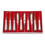 10pcs Dental Elevator Kit Dentist Surgical Tools Stainless Steel Dental Root