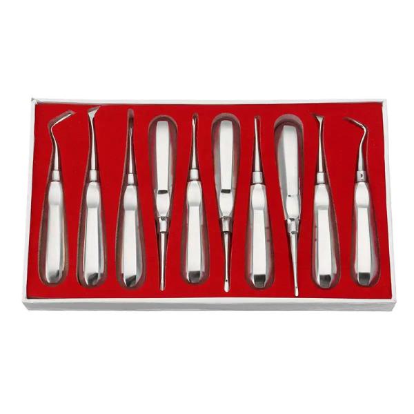10pcs Dental Elevator Kit Dentist Surgical Tools Stainless Steel Dental Root