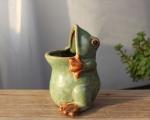 Succulent Creative Frog Animals Plant Flowerpots