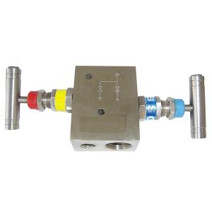 Quality 3000 Psi 1/4 Female NPT Instrument Manifold Valve 100C 2 Way Manifold wholesale