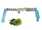 CE Certified Stainless Steel Commercial Vegetable Washer Washing Line Vegetable